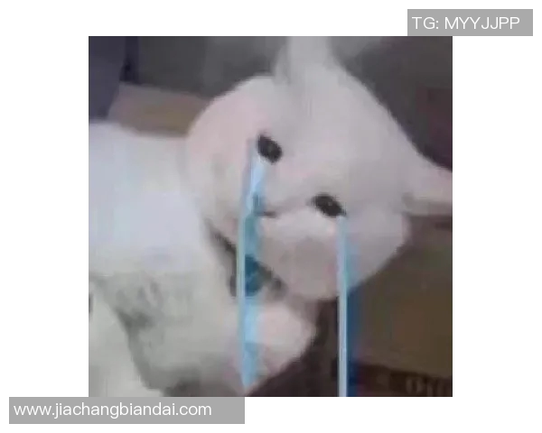 12中11只打19分钟！准到吓死人却笑着离场，这才是太阳最绝望的事