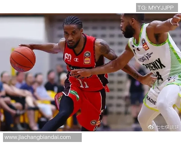 巨大变数！36人官方：科顿因背伤缺席对阵野猫